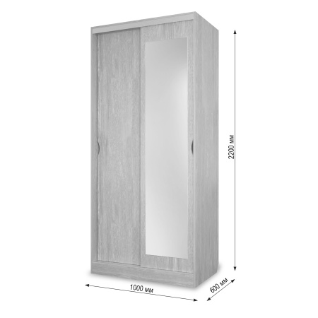 Шкаф-купе Клэр с зеркалом 1000х600х2200 сосна лофт-хром