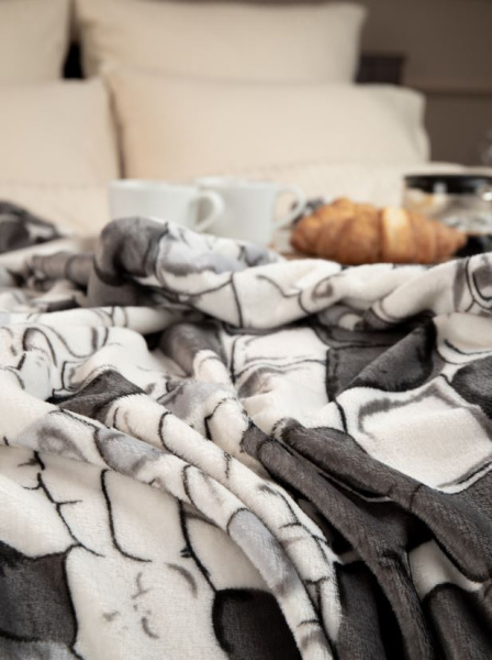 Плед фланель Texrepublic печат скрутка  200*220 93317